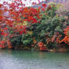 滋賀の紅葉、　永源寺と湖東三山　その１　（永源寺）