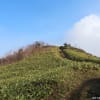 八間山（１９３４ｍ）　～　エビ山（１７４４ｍ）　　－ 富士見峠 －