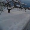 あの頃チャンネル(2009年12月20日～2009年12月26日)