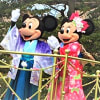 TRL新年2020