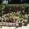 神代植物公園春バラのフェステバル