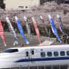 　「１００系、３００系新幹線の旅」　　フォトチャンネル