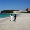 春の旅