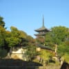 奈良公園周辺の２０１５年の風景