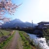 由布院より愛をこめて ２０１７年４月