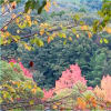 2019年・秋景