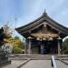 KT Jackson@白兎神社