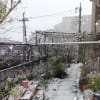 首都圏は真っ青