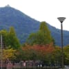 長良公園の秋