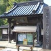 下館散策；五行川に鮭が遡上していました