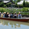 柳川　菖蒲園