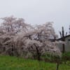 2018.05.03-06 函館・小樽・札幌