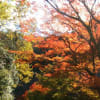 犬山寂光院