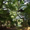 2017/10 谷川馬蹄形 白毛門（その1）