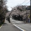 岩槻城址公園