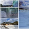 ●奥卯辰山健民公園　雪　冬の青空と山並み　大池　白鳥コロちゃん　コロナワクチン3回目接種