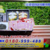 6/12・・・旅サラダプレゼント(月曜9時まで)
