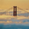 sf photo gallery