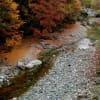 奥祖谷霧谷川の紅葉　