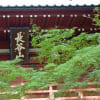 長谷山本土寺　大谷口城　シーベルト