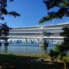 2018年秋のお台場公園散歩