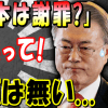 【海外の反応】「日本は謝罪すべき」→数時間で話変わった青瓦台なぜ?韓国に信頼なんて1ミリも無い...国家間合意を不意にさせたのも文大統領
