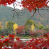 晩秋の大覚寺と大沢池