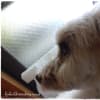 あの頃チャンネル(2011年10月16日～2011年10月22日)