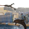 江の島水族館
