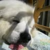 あの頃チャンネル(2011年06月19日～2011年06月25日)