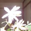やっぱり雨でした！