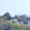 武田山　火山　広島南アルプス　花　3月21日
