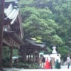 新潟のパワースポット　弥彦神社