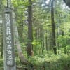 6月15日　妙高　池の平　笹ヶ峰