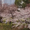 鶴見緑地公園