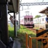 伊賀鉄道と案山子（三重県）