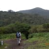 箱根の山 駒ヶ岳 神山登山 その1
