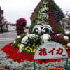 冬の沖縄は花いっぱい～沖縄海洋博公園　　25年2月