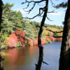 白駒の池の紅葉