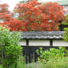 季節の花や木々