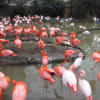 神戸王子動物園