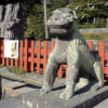 鎌倉アルプスと鶴岡八幡宮初詣