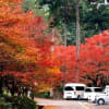 丹波に紅葉の古刹あり