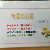 今週の花