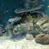 小樽水族館
