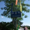 美しい　中国広東恩平　君堂鎮　西園村（1）