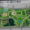都心の日比谷公園界隈の秋納めの風情。