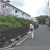 ８月２０日の③散歩