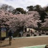 琵琶湖周辺の旅～彦根城