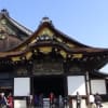 プラット旅　京都.近江の桜
